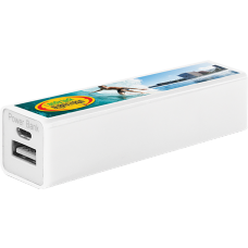 PulsarPowerBank